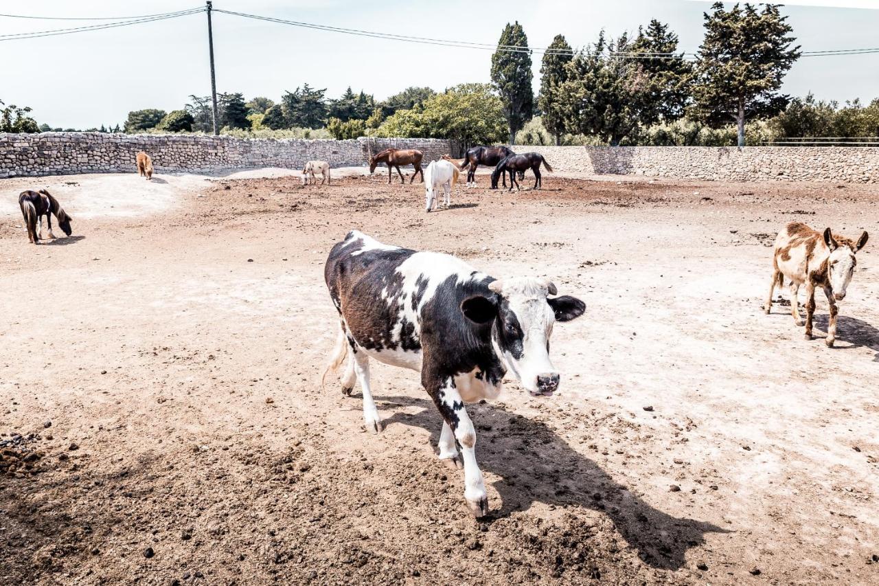 Masseria Prosperi アリミニ エクステリア 写真