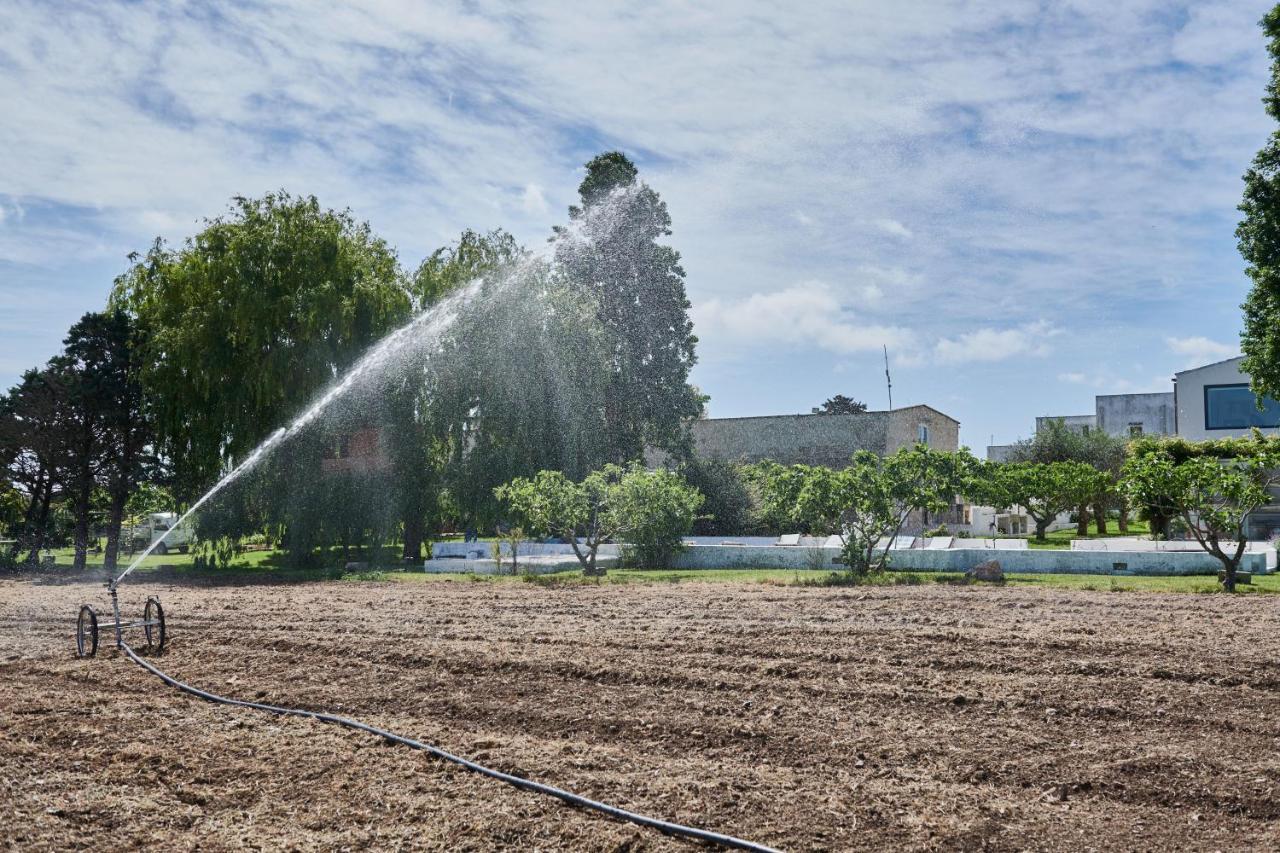 Masseria Prosperi アリミニ エクステリア 写真