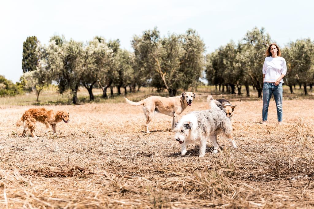 Masseria Prosperi アリミニ エクステリア 写真