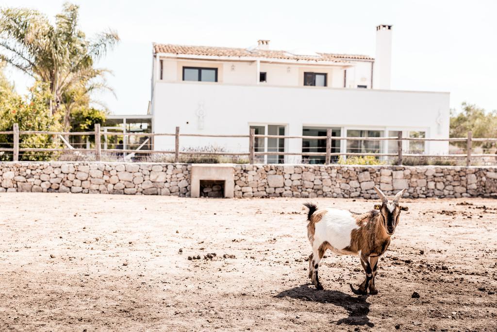 Masseria Prosperi アリミニ エクステリア 写真