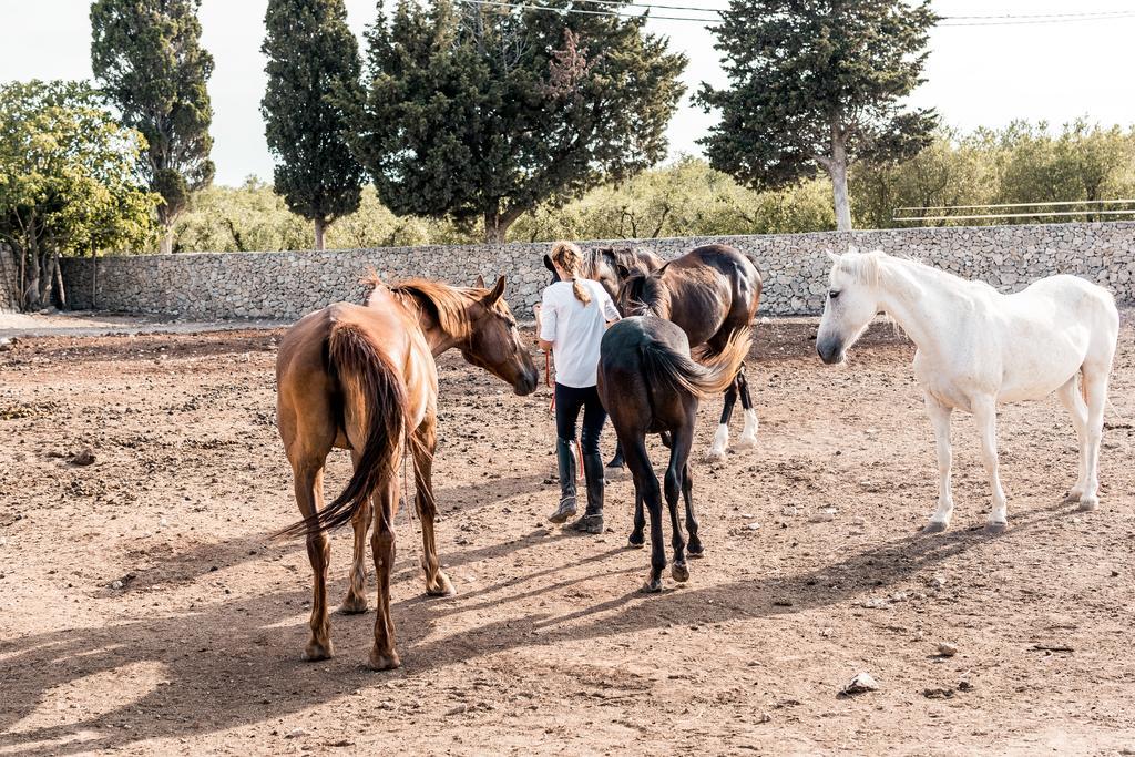 Masseria Prosperi アリミニ エクステリア 写真